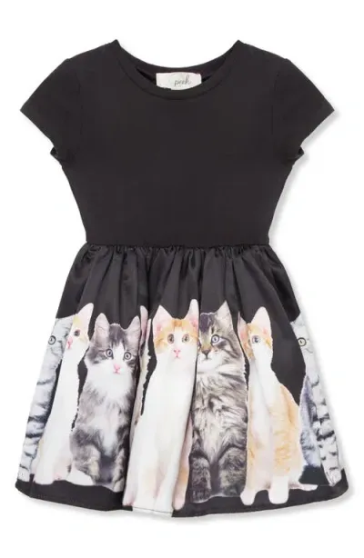 Peek Aren't You Curious Kids' Photoreal Kitten Fit & Flare Dress In Black