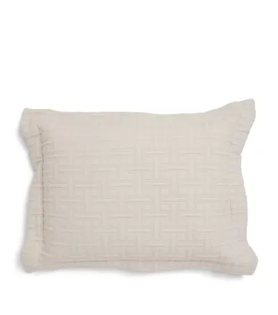 Peter Reed Embroidered Kengo Oxford Cushion In Neutral