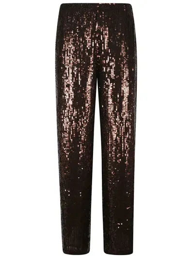 Pinko Pants In Brown