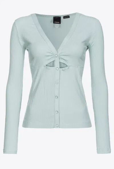 Pinko Ribbed Sweater With Mother-of-pearl Buttons In Bruma Grigio