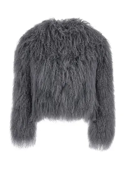 Plain Tibet Fur Short Jacket In Grey