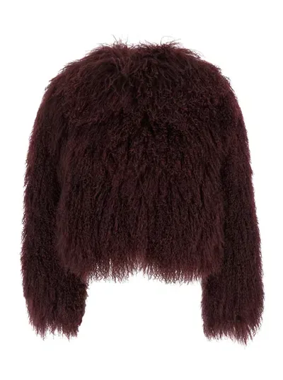 Plain Tibet Fur Short Jacket In Black