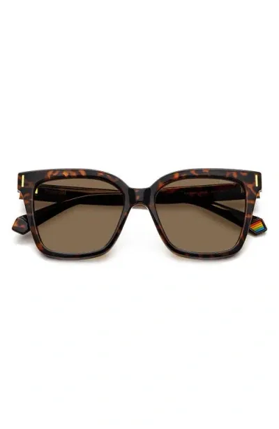 Polaroid 54mm Polarized Cat Eye Sunglasses In Z/dnuhavana/bronze Polar