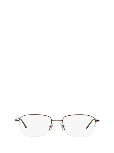 Polo Ralph Lauren Eyeglasses In Brown