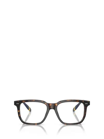 Polo Ralph Lauren Eyeglasses In Multicolor