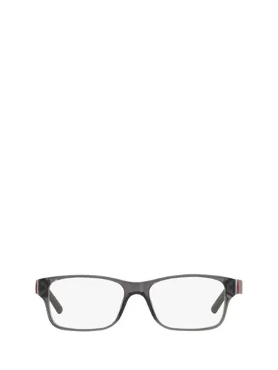 Polo Ralph Lauren Eyeglasses In Shiny Transparent Grey