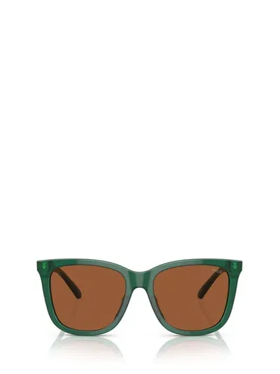 Polo Ralph Lauren Eyewear Butterfly Frame Sunglasses In Green