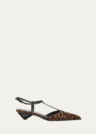 Prada Leopard T-strap Ballerina Pumps In Brown