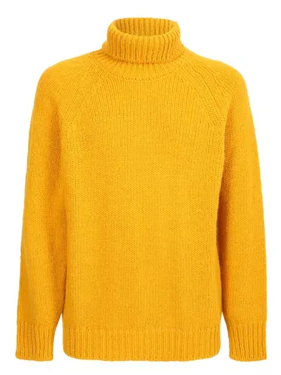 Pt Torino Man Turtleneck Mustard Size 38 Wool, Alpaca Wool, Acrylic In Yellow