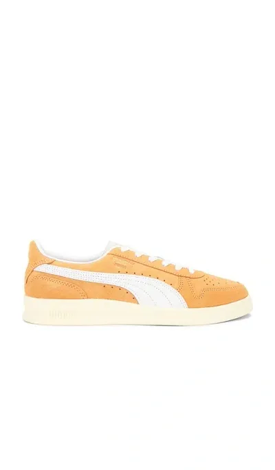 Puma Indoor Soft In Orange