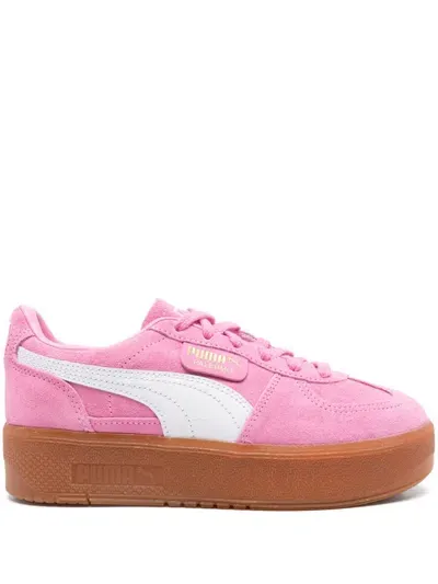 Puma Palermo Elevata Sneakers In Pink