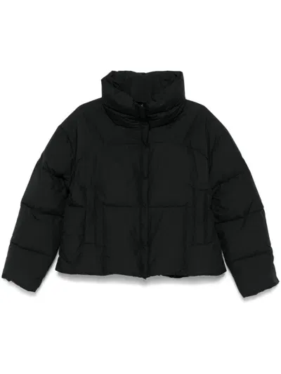 Pyrenex Harmonie Crop Puffer Jacket In Black