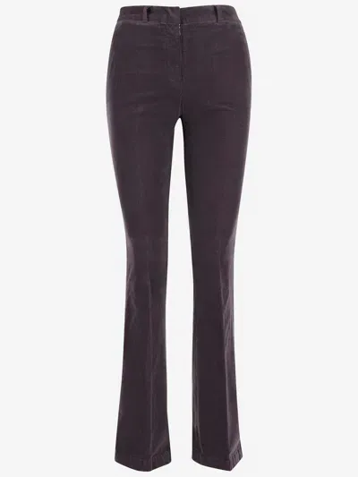 Ql2 Stretch Cotton Velvet Flared Pants In Purple