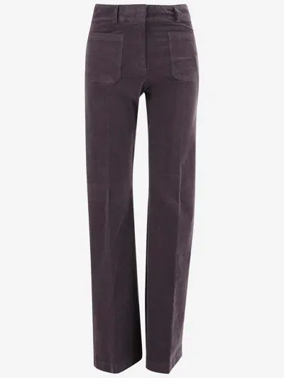 Ql2 Stretch Cotton Velvet Pants In Purple