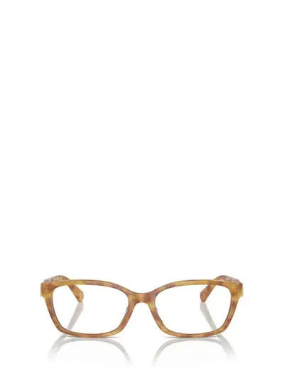 Ralph Lauren Eyeglasses In Multicolor