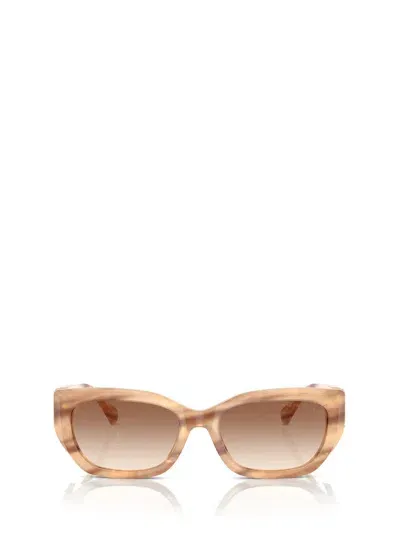 Ralph Lauren Eyewear Cat In Multi