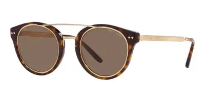 Ralph Lauren 49mm Round Sunglasses In Dark Havana/brown