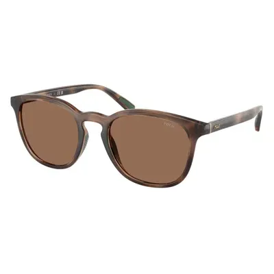 Ralph Lauren Sunglasses In Brown