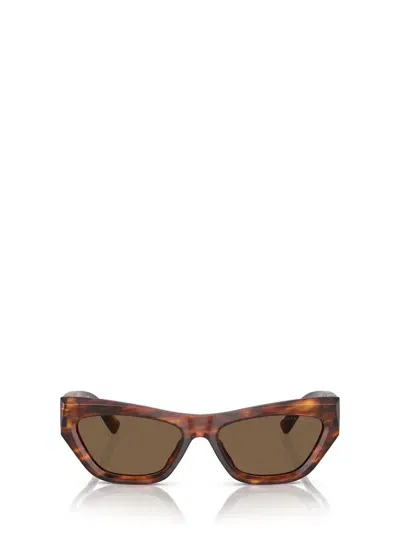 Ralph Lauren Woman Sunglass Rl8218u The Kiera In Brown