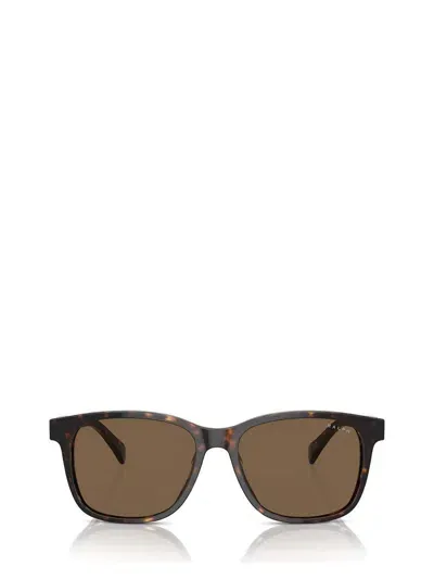 Ralph Lauren Sunglasses In Multicolor