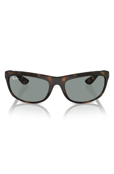 Ray Ban 62mm Oversize Rectangular Sunglasses In Havana