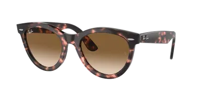 Ray Ban Ray In Clear & Brown