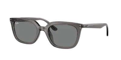 Ray Ban Ray In Dark Grey