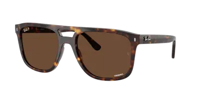 Ray Ban Ray In Polar Brown