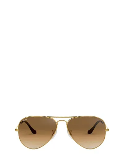 Ray Ban Ray-ban Sunglasses In Arista