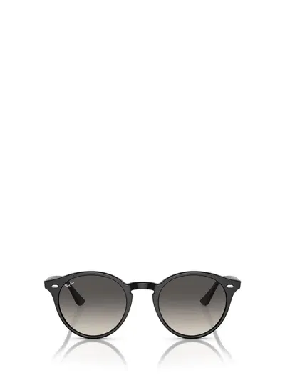 Ray Ban Ray-ban Sunglasses In Black