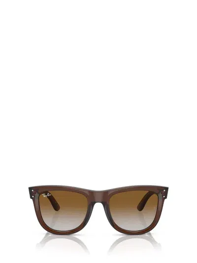 Ray Ban Ray-ban Sunglasses In Transparent Brown