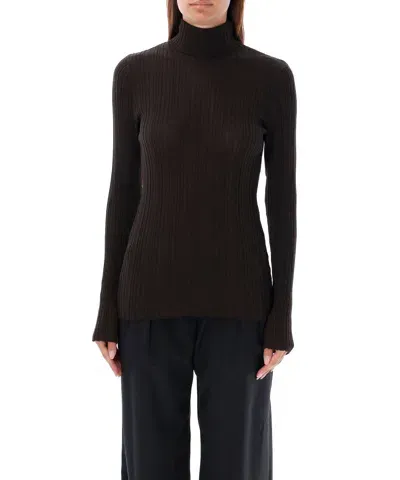 Rhea Roll-neck Sweater In Brown