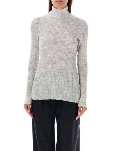 Rhea The Rib Roll Neck In Light Grey