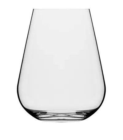 Richard Brendon X Jancis Robinson Set Of 6 Water Glasses In Transparent