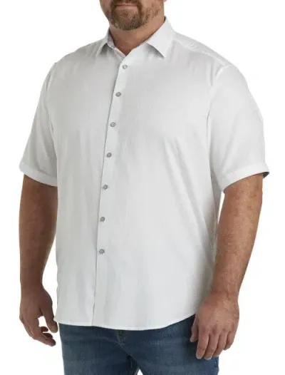 Robert Graham Dxl Luther Sport Shirt In White