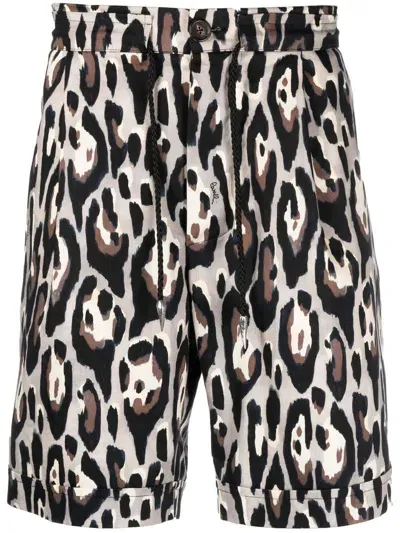 Roberto Cavalli Leopard Print Bermuda Shorts In Grey