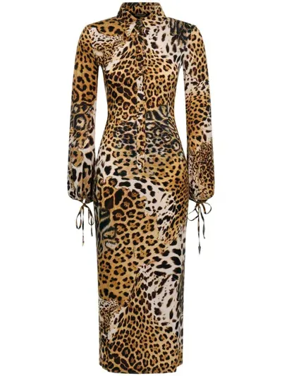 Roberto Cavalli Leopard-print Midi Dress In Brown