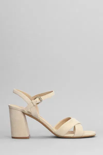 Roberto Festa Isla Sandals In Beige Suede