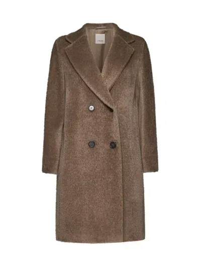 's Max Mara Roseto Wool Teddy Short Coat In Brown