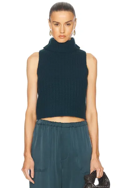 Sablyn Saige Cropped Turtleneck Sweater In Compass