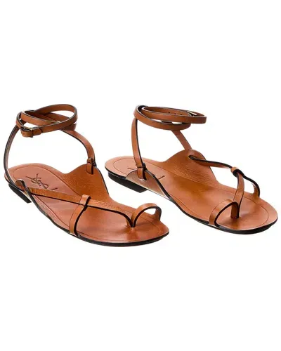 Saint Laurent Ankle Strap Flat Sandal In Brown