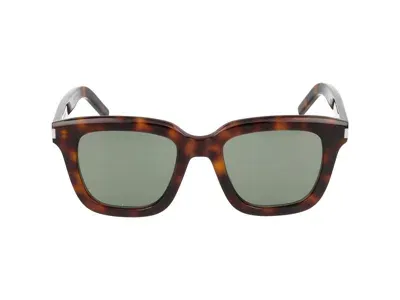 Saint Laurent Sunglasses In Havana Gold Green