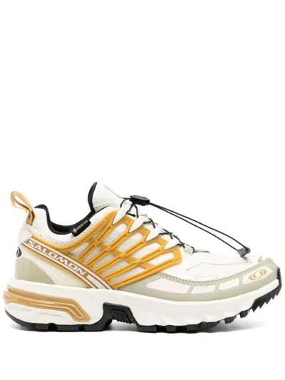 Salomon Acs Pro Gtx Sneakers In Braun