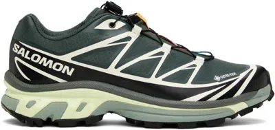 Salomon Gray Xt-6 Gore-tex Sneakers In Urban Chic / Black /