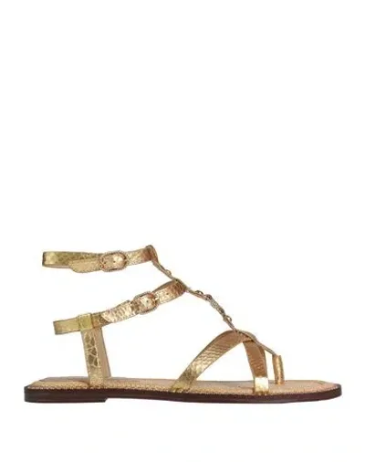 Sam Edelman Woman Thong Sandal Gold Size 7.5 Textile Fibers