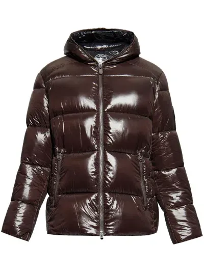 Save The Duck Edgard Padded Jacket In Brown