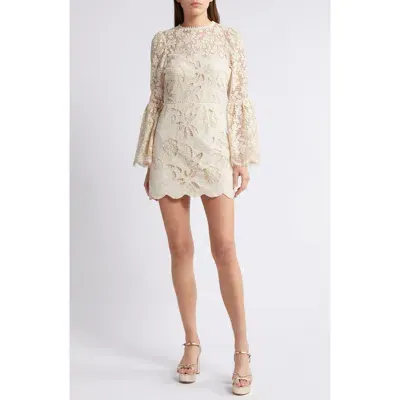 Saylor Linnea Long Sleeve Cotton Lace Minidress In Cream