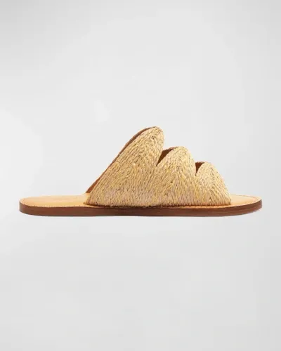 Schutz Ivy Raffia Flat Slide Sandals In Natural