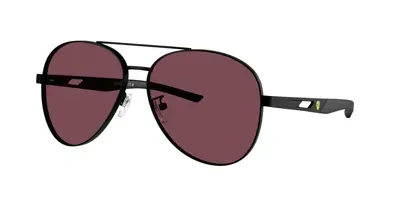 Scuderia Ferrari Unisex Sunglasses Fz5002d In Bordeaux