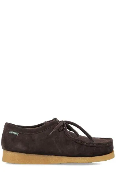 Sebago Koala Lace In Brown